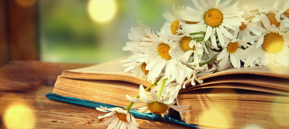 Libro con flores encima